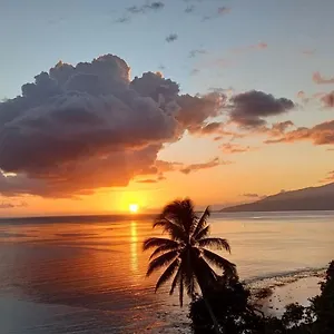 Maui Vue Ocean Exceptionnelle & Baleines En Saison Auberge de jeunesse